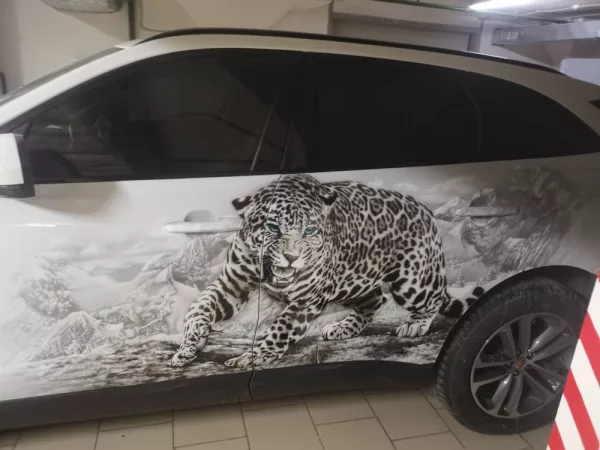 Авто и мото аэрография — Аэрография на авто и мото, работа №203
